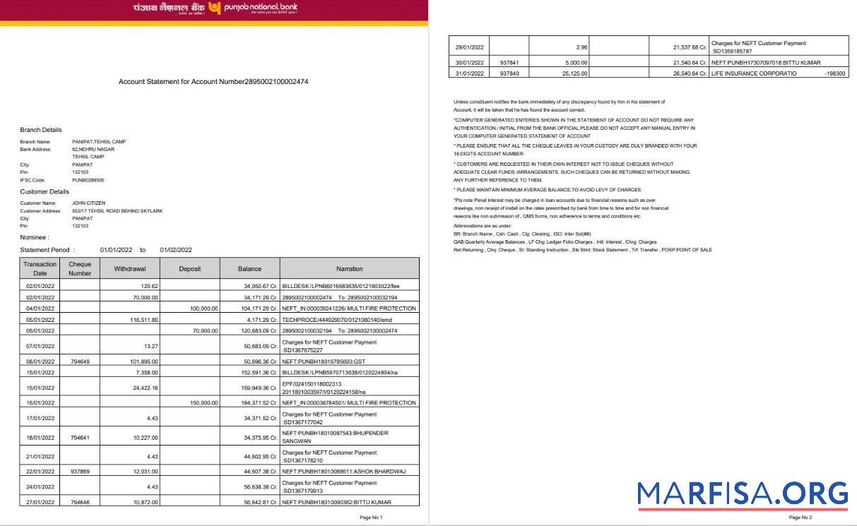 Printable India Punjab National bank statement word 2 pages, version 2 sample